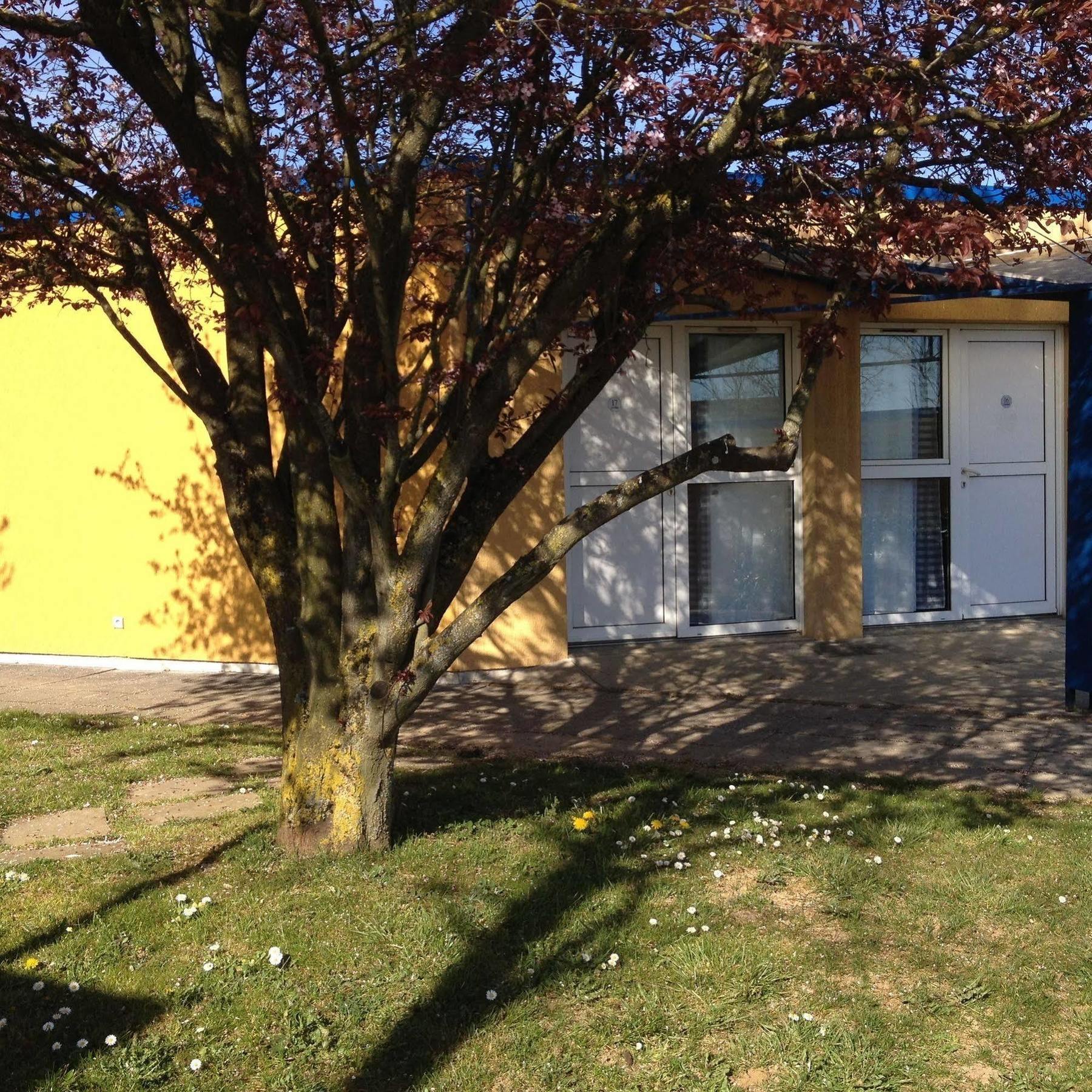 Hotel Charme en Maconnais à Saint-Jean-le-Priche Extérieur photo